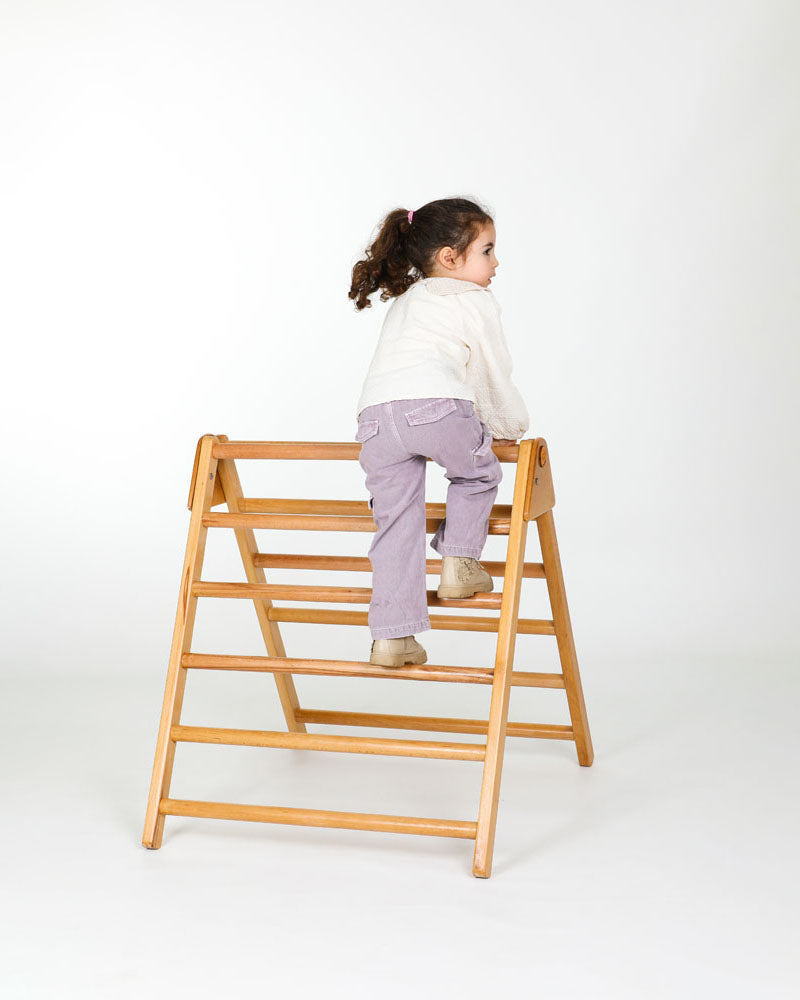 Bric à Brac Triangle Pikler