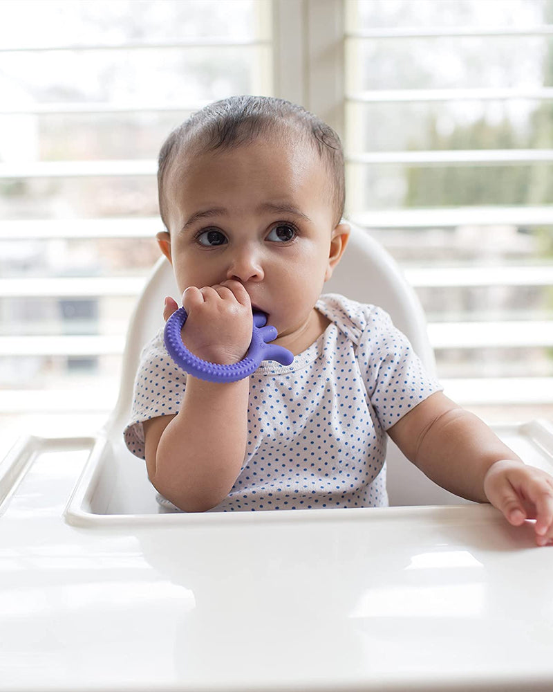 Dr. Brown's Anneau de dentition Pieuvre Flexees Friends 3M+ - Purple