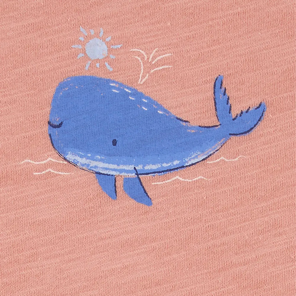 Lot de 5 Bodies à Manches Courtes Carter's - Multi