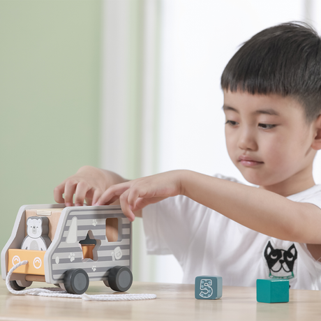 Viga Toys PolarB Camion de Tri de Formes à Tirer 24M+