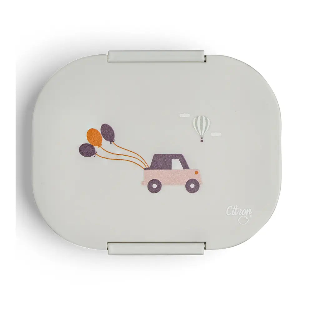 سيترون صندوق غداء عضوي بقسمين – مركبات