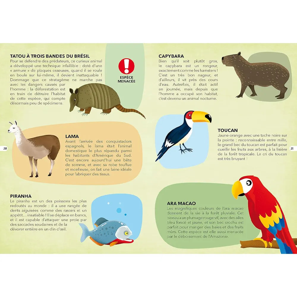 Viaja, descubre, explora: especies en peligro de extinción