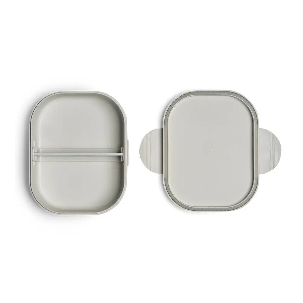 سيترون صندوق غداء عضوي بقسمين – مركبات