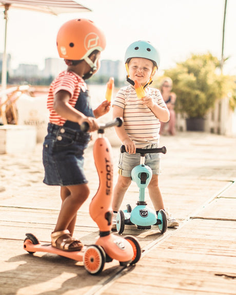 Scoot And Riide  Trottinette 2en1 Highwaykick 1 - pèche