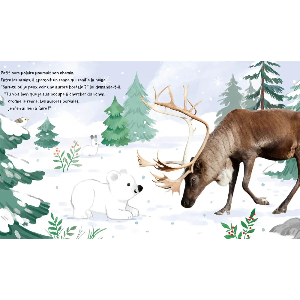 A Northern Light for Little Bear