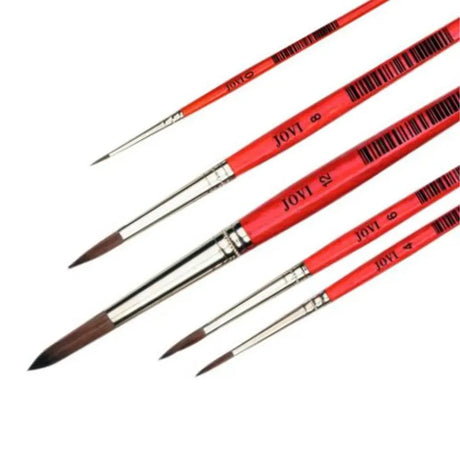 Jovi Blister Pack of 5 Brushes (0, 4, 6, 8, 12)
