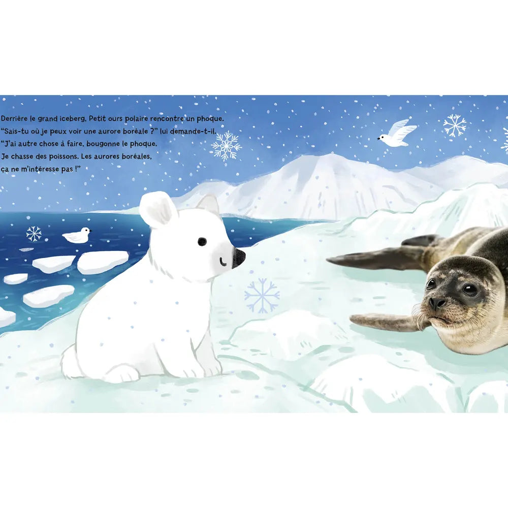 A Northern Light for Little Bear