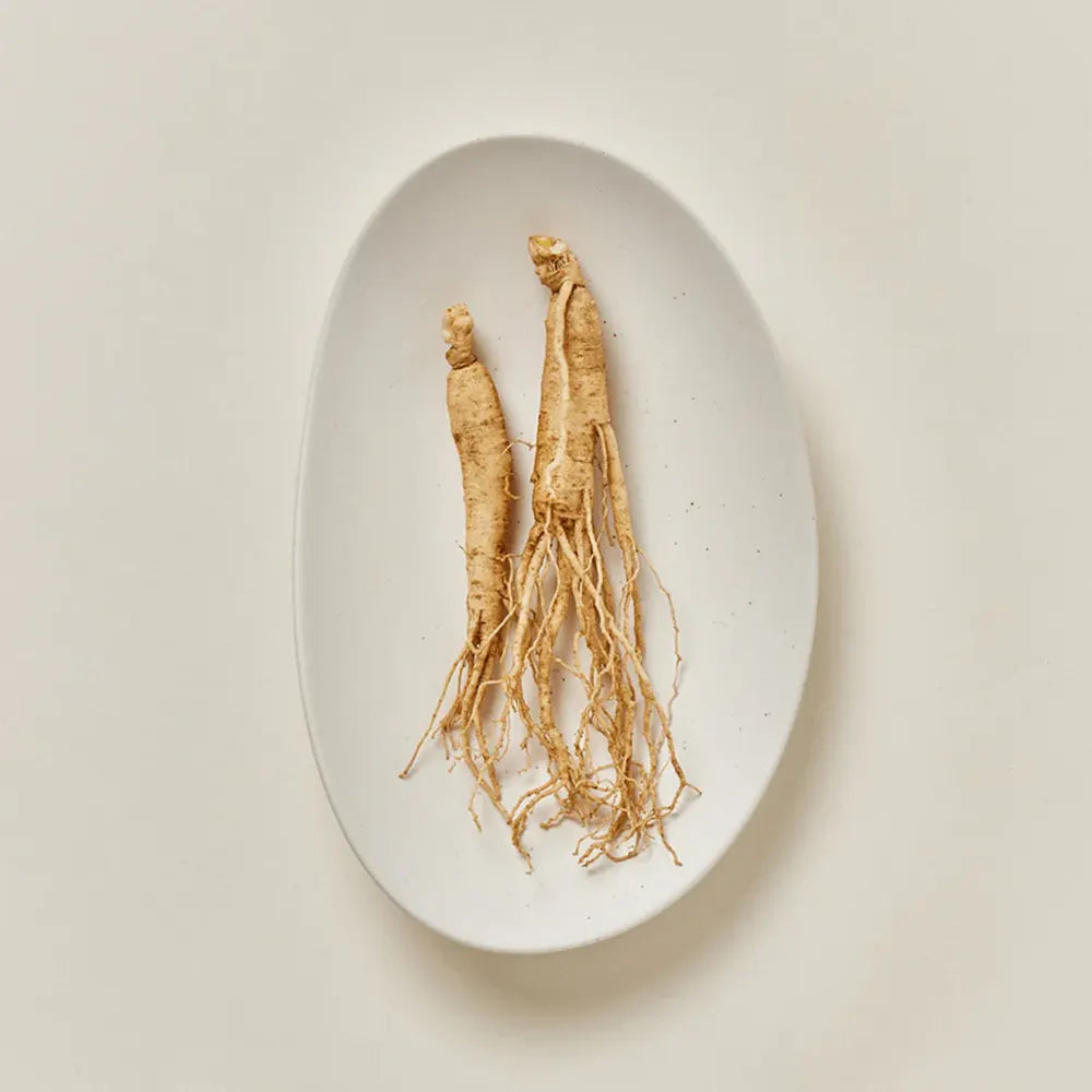 Beauty Of Joseon Sérum Solar Hidratante de Ginseng spf50+ PA++++ 50ml