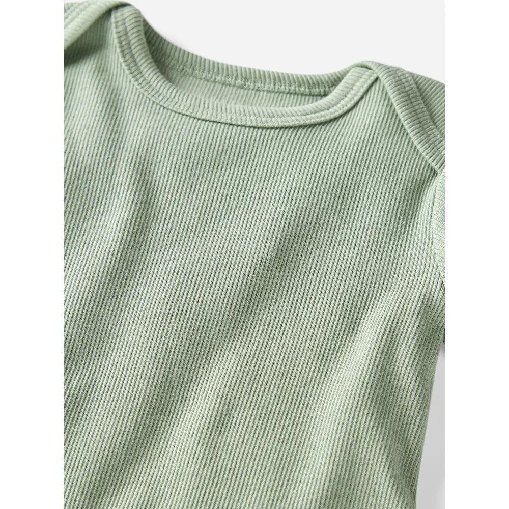 Lot de 3 bodys en coton bio bébé - Unisexe