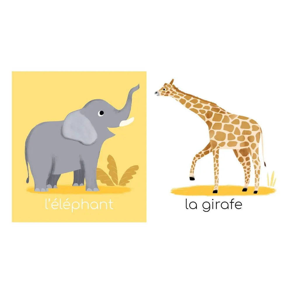 Los Animales Salvajes – Mi Primer Libro de Imágenes