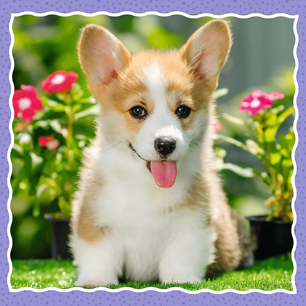 تريفل لغز 3 في 1 كلاب لطيفة - 3 سنوات فما فوق