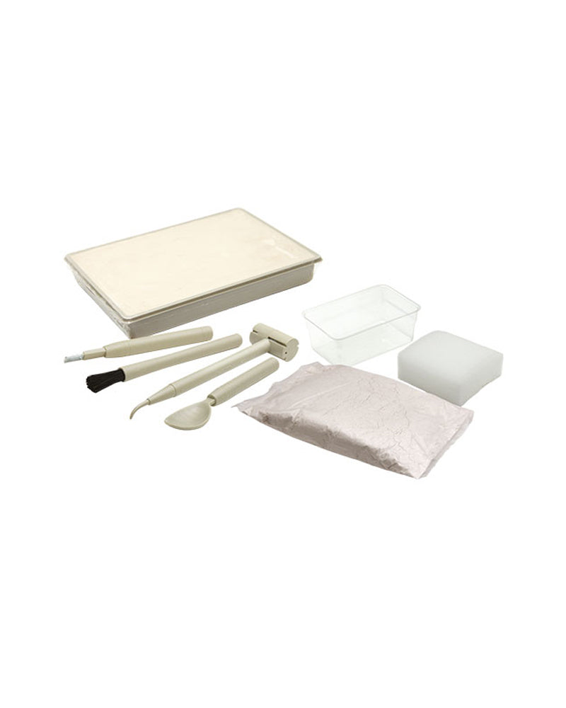 Eurekakids Kit De Tyranosaurus 8A+