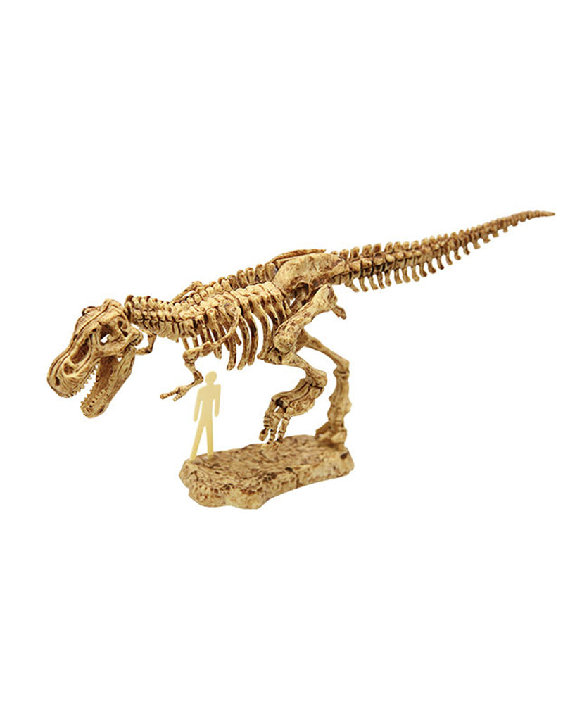 Eurekakids Kit De Tyranosaurus 8A+