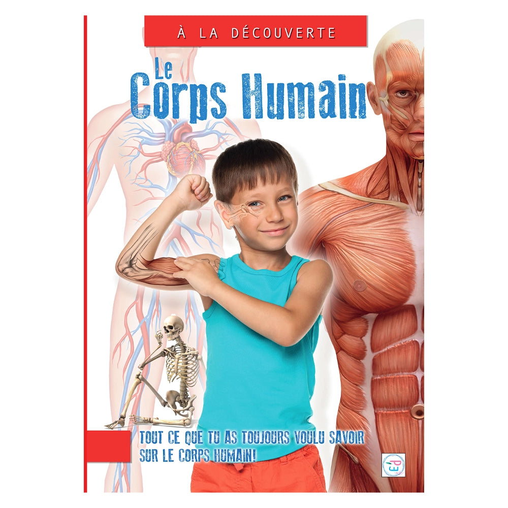 Plume Univers Le Corps Humain