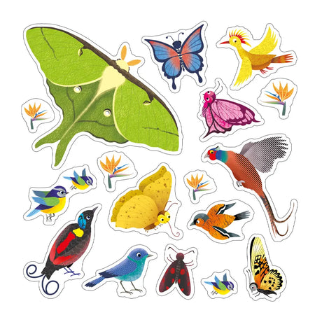 Oiseaux et Papillons – Déco Vitre