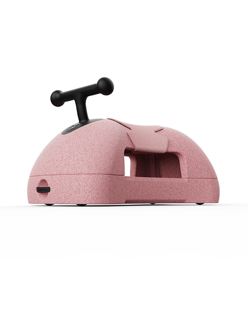 Scoot And Ride My First Trotteur & Porteur 3en1 - Rose