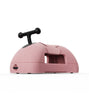 Scoot And Ride My First Trotteur & Porteur 3en1 - Rose