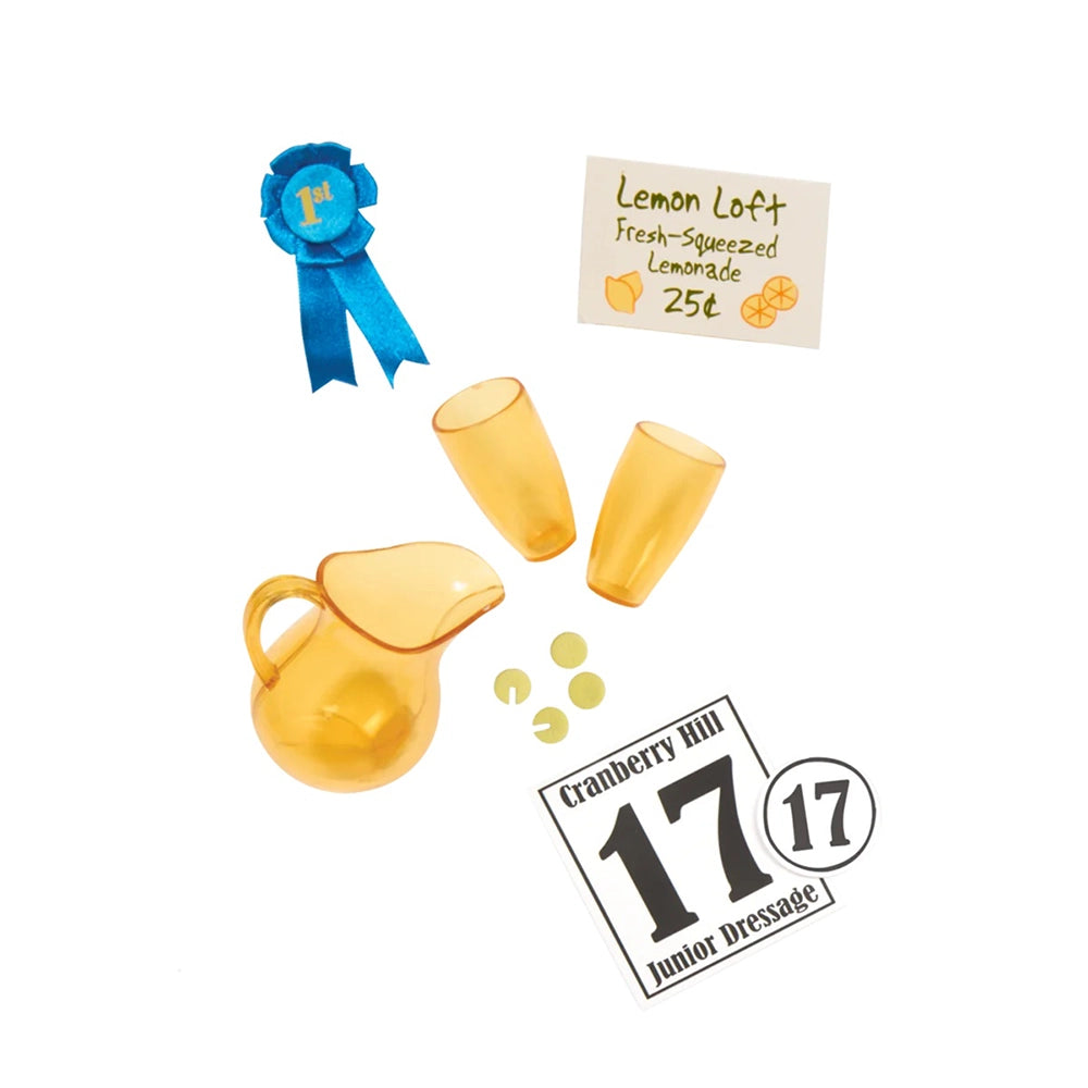 Our Generation Poupée & Livre d'Équitation Articulés 46cm 3A+ - Lily Anna