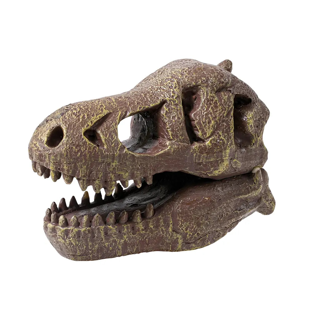 Buki Museum Skull T-rex 8A+