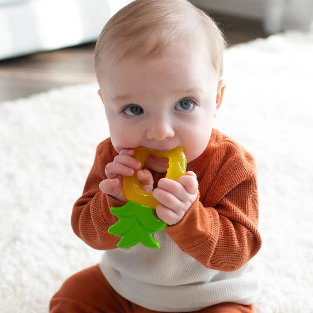 Dr. Brown's Anneau de Dentition 3M+ - Ananas