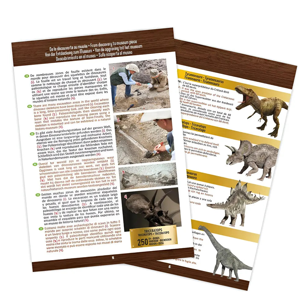 Buki Museum Skull T-rex 8A+