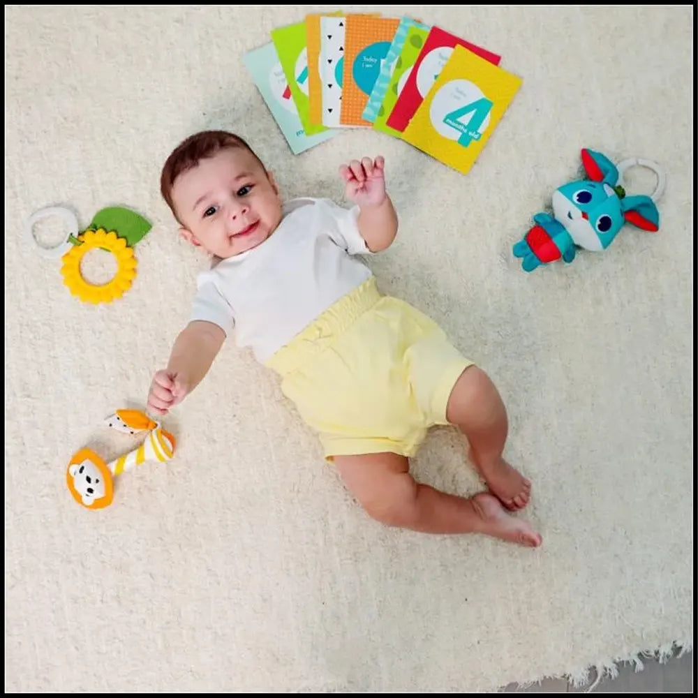 Tiny Love Coffret cadeau jouets Dans la Prairie