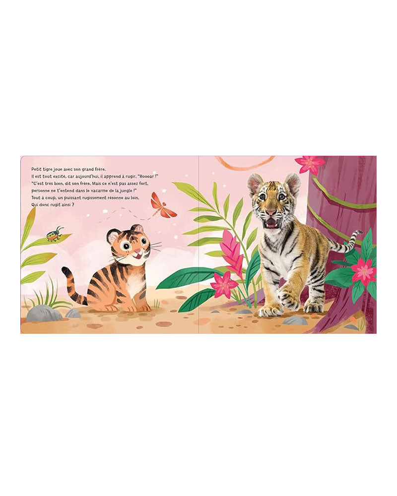 1.2.3 Soleil Little Tiger Learns to Roar