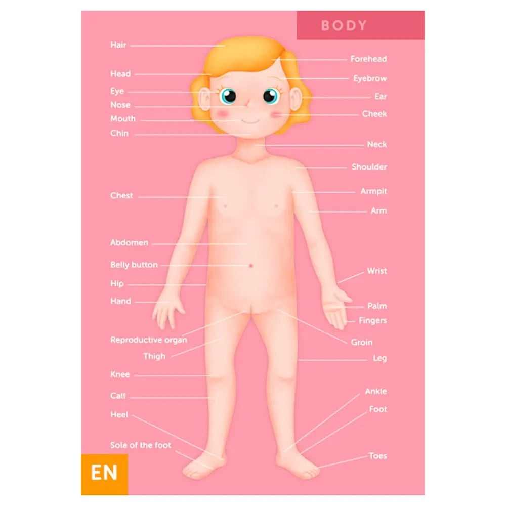 Eurekakids Puzzle Educativo 100 piezas El Cuerpo Humano - 6A+