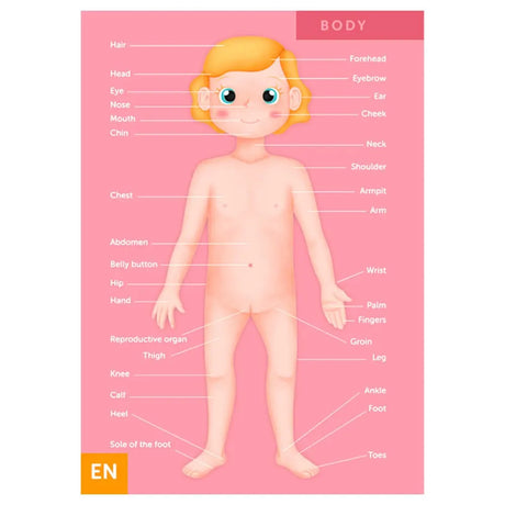 Eurekakids Puzzle Educativo 100 piezas El Cuerpo Humano - 6A+