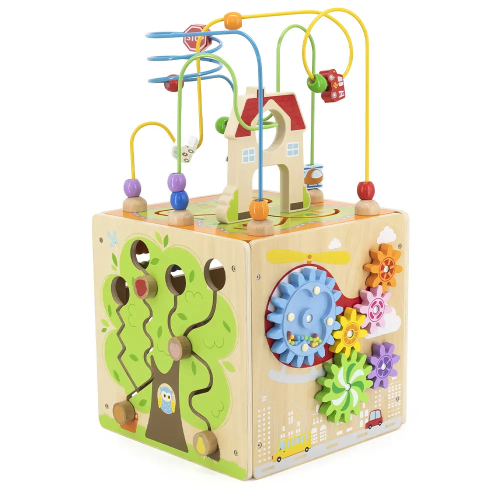 Viga Toys Cube d'Activité 5 en 1 18M+