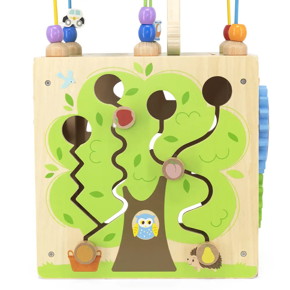 Viga Toys Cube d'Activité 5 en 1 18M+