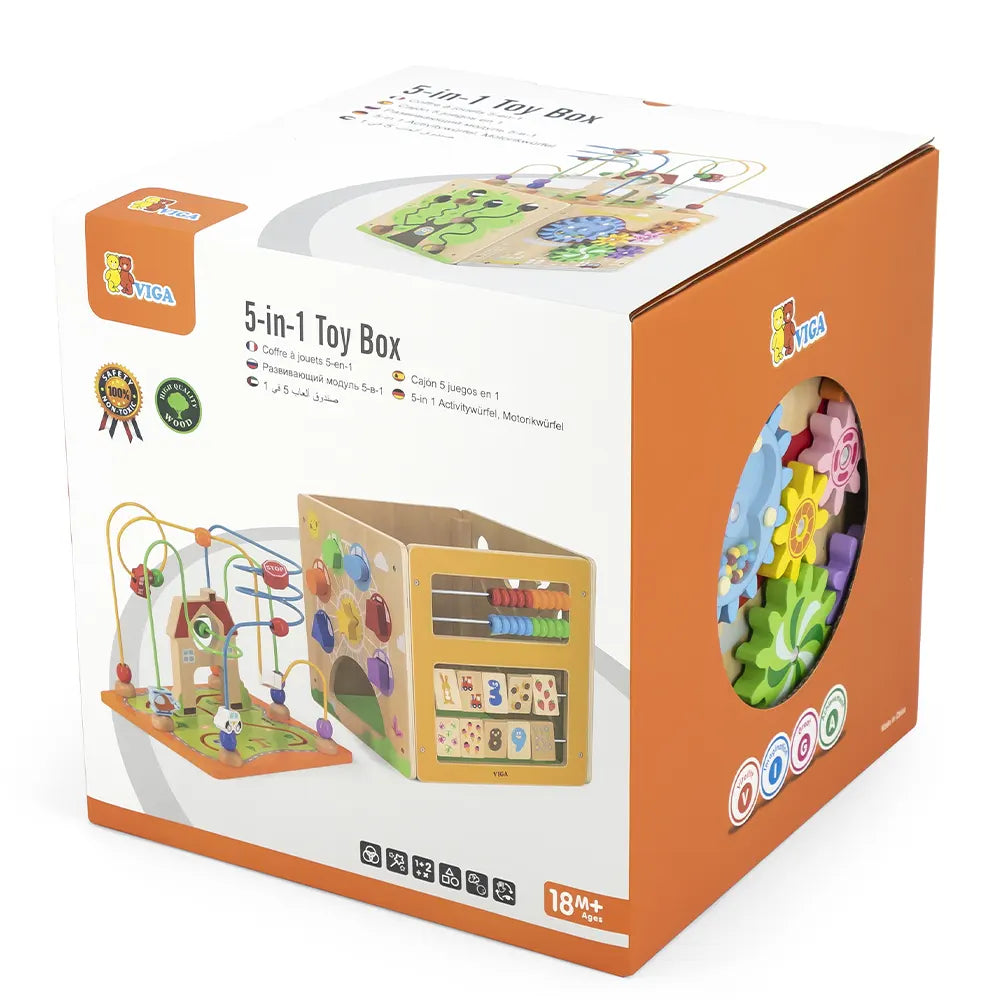 Viga Toys Cube d'Activité 5 en 1 18M+