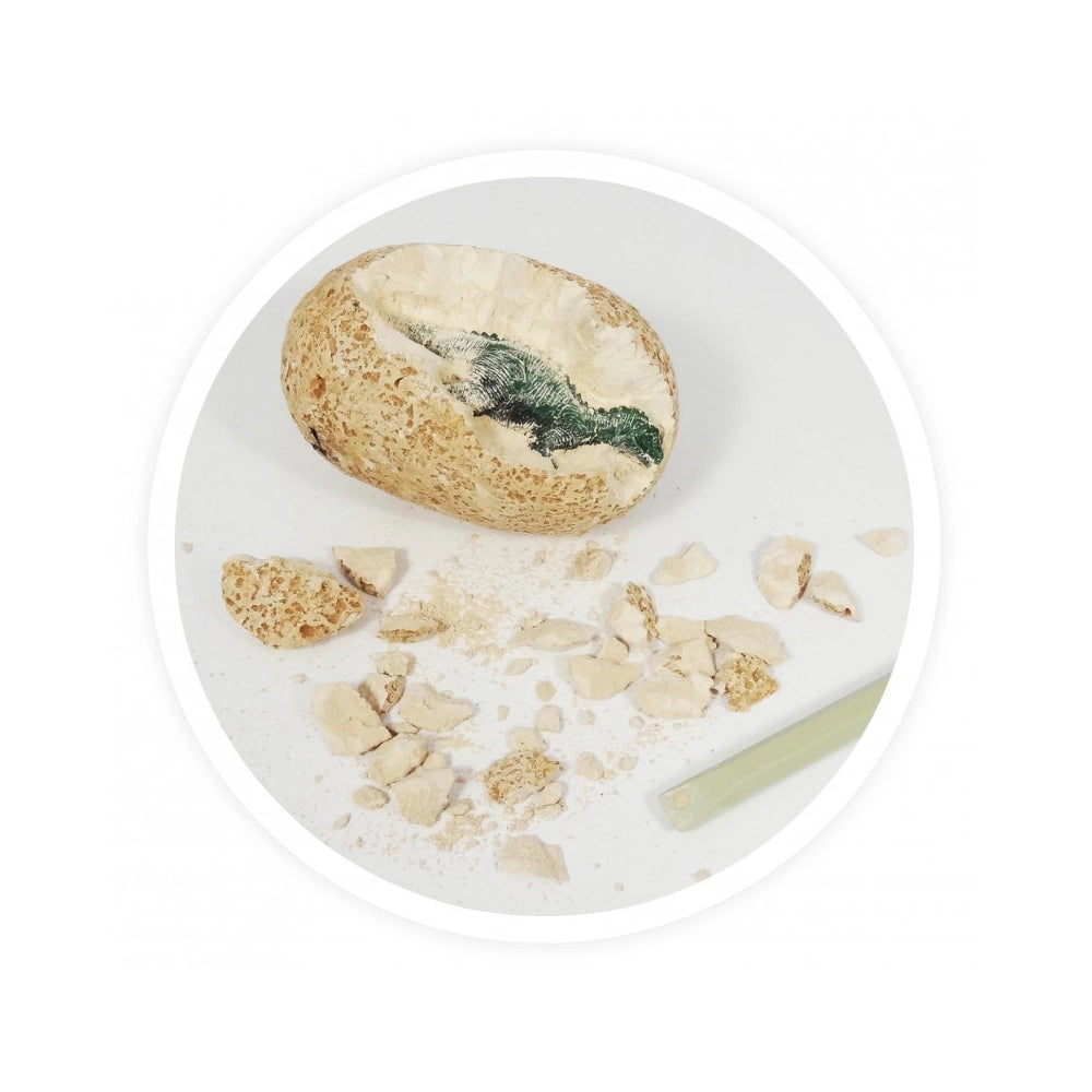 Buki Œuf Dino à Déterrer 6A+