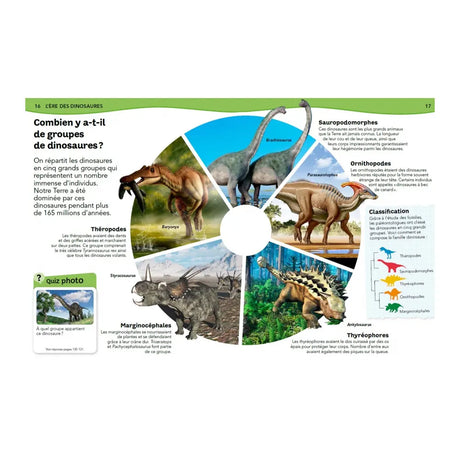 Nathan L'encyclopédie des Dinosaures - Questions/Réponses