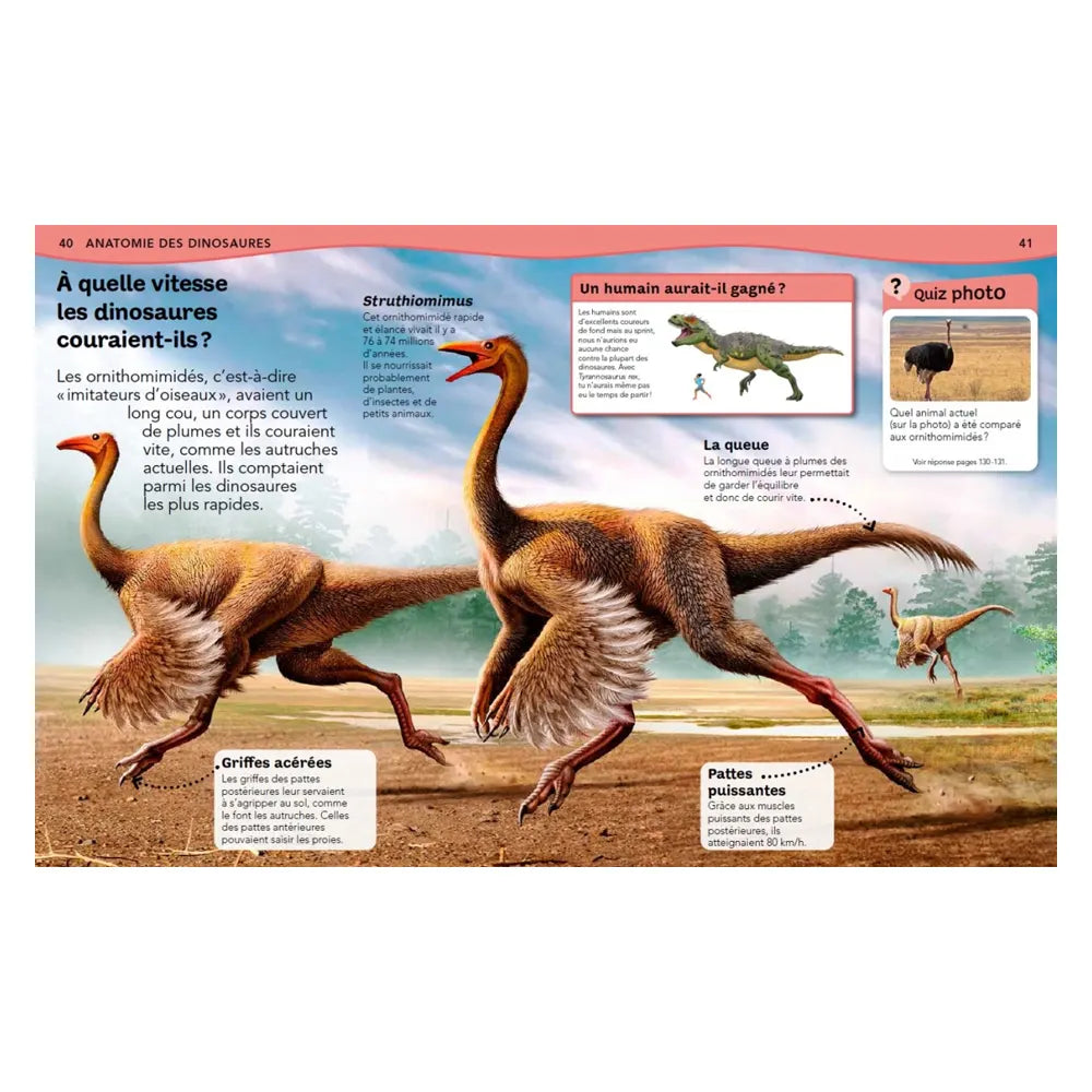 Nathan La enciclopedia de los dinosaurios - Preguntas y respuestas