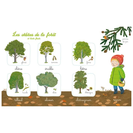 Mon imagier de la nature Montessori