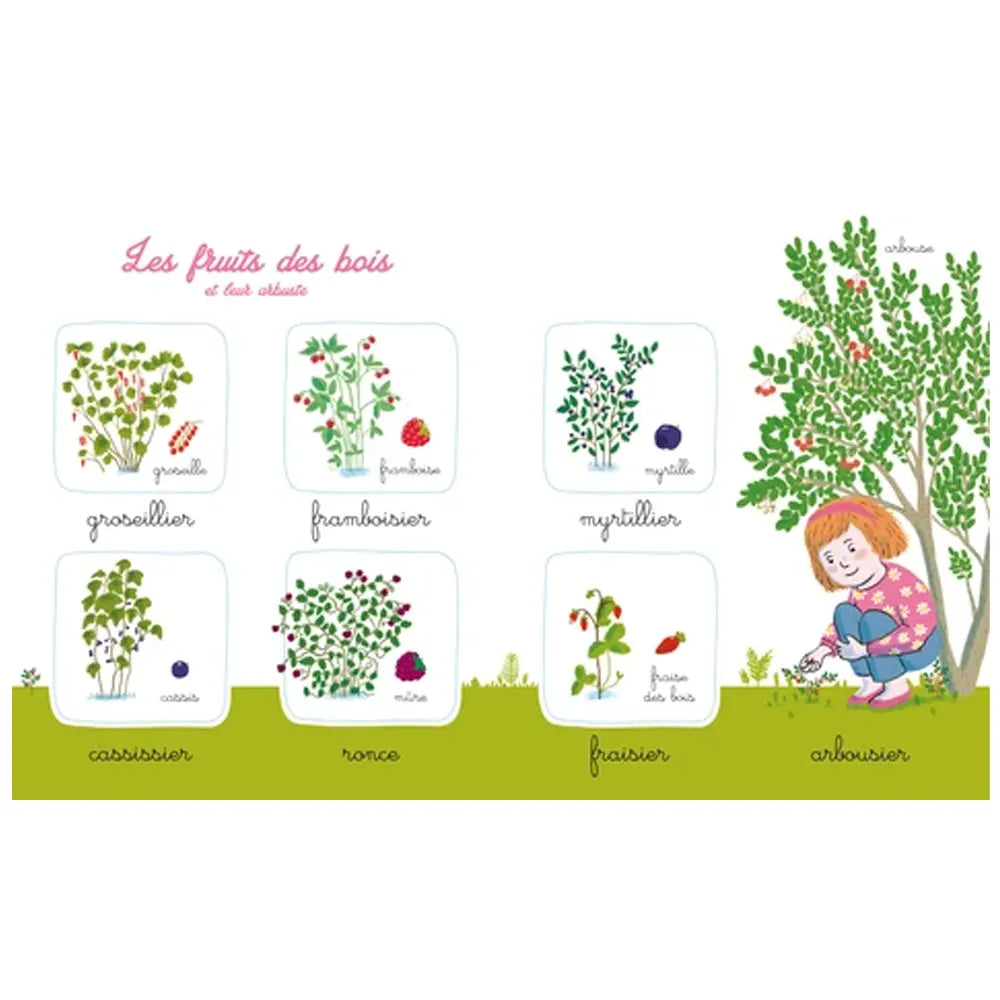 My Montessori Nature Picture Book