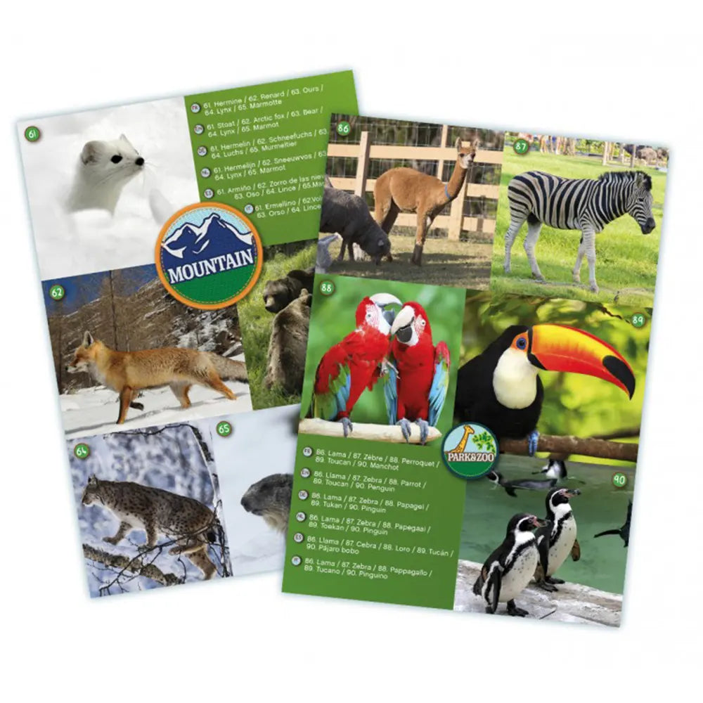 Buki Maxi Jumelles (8x50mm) - 8A+