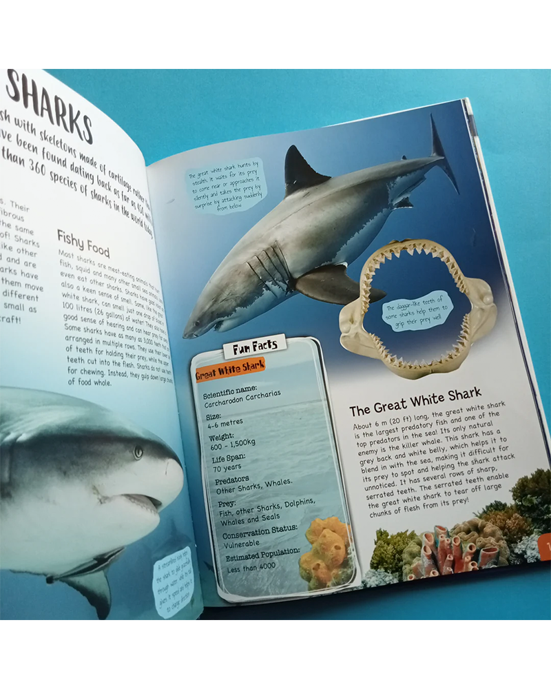 Wonders Of Learning - Discover Sea Animals