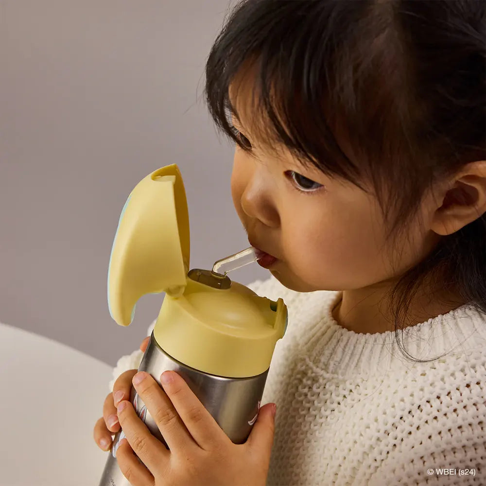 b.box Gourdes Isothermes 350ml - Looney Tunes