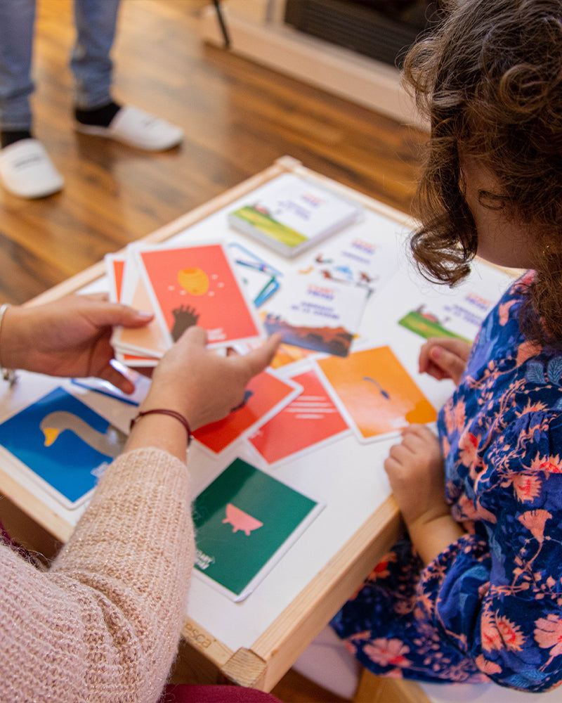 بطاقات الحواس الخمس والجسم البشري - بيبي فيرست