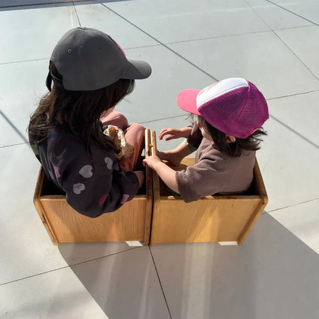 PapyJoe Mesa Silla 2 en 1