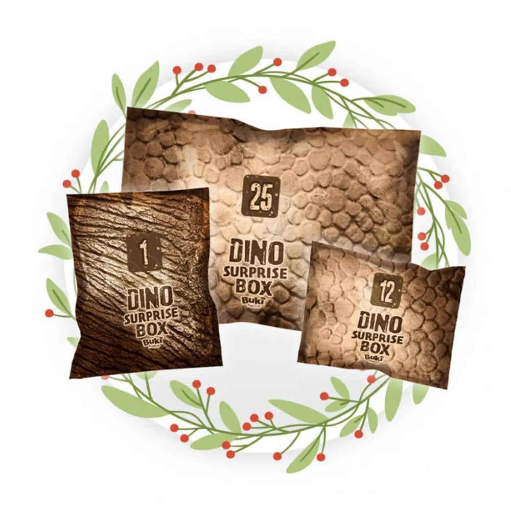 Buki Coffret Surprise Dino 6A+