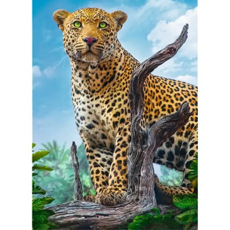 Trefl Puzzle Léopard 500 Pièces - 10A+