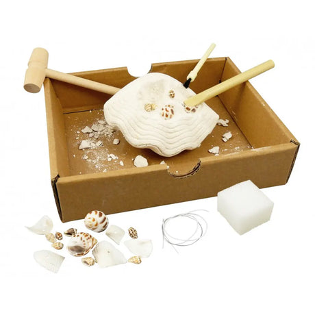 Buki Kit Roches et Minéraux 8A+
