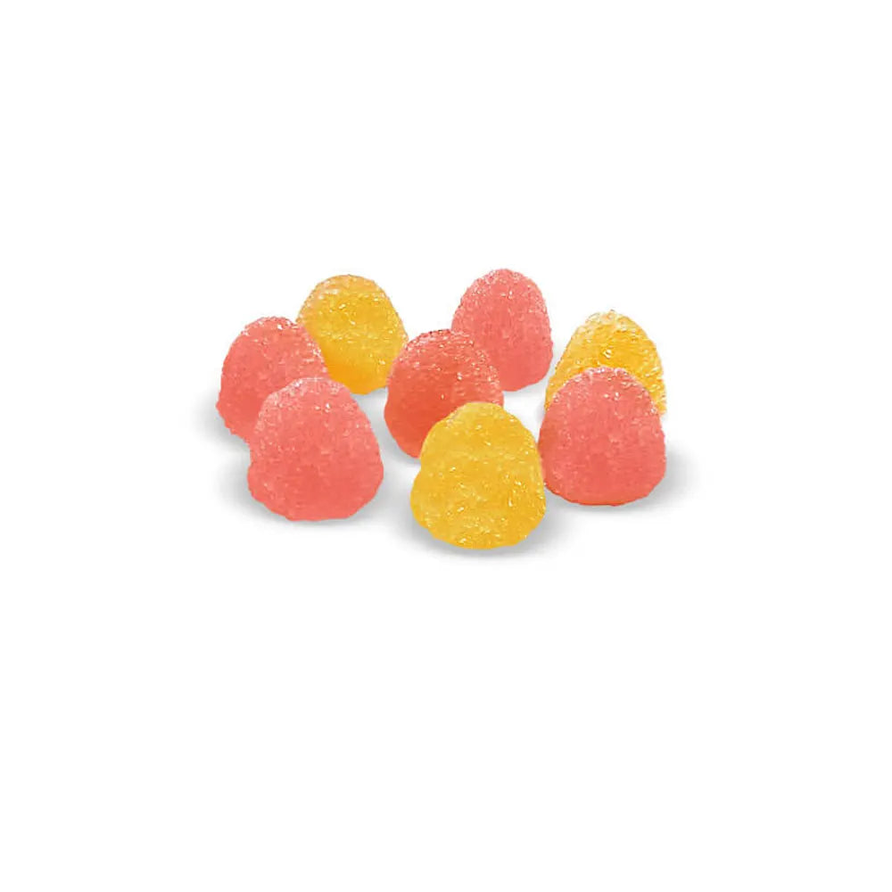 ريلكون جهاز عرض ديناصورات