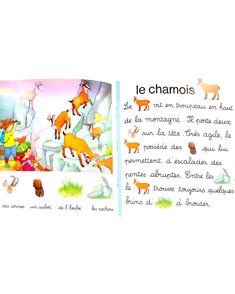 Word Games - In the Mountains