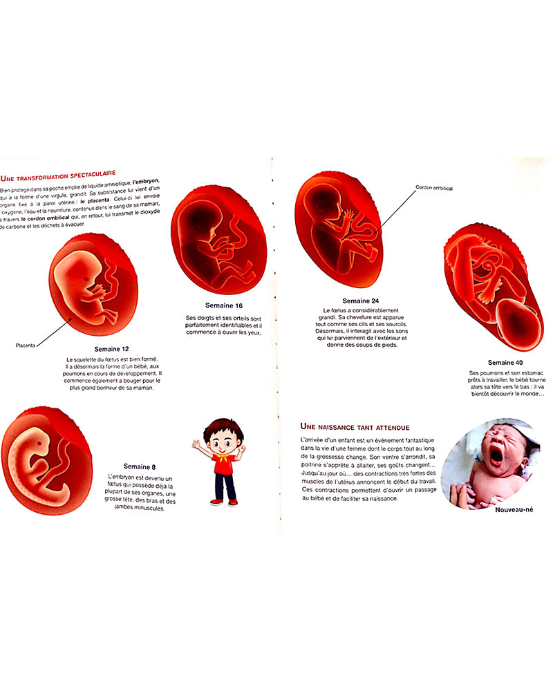 جسم الإنسان