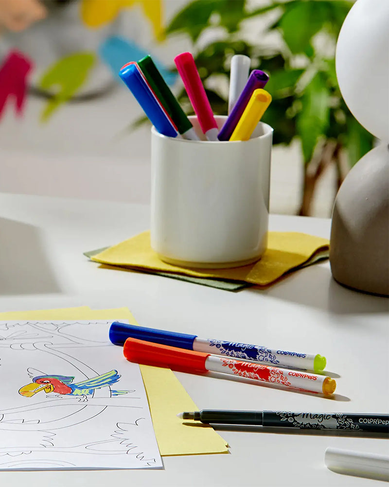 Maped Boîte de 10 x 2 Feutres magic Blister