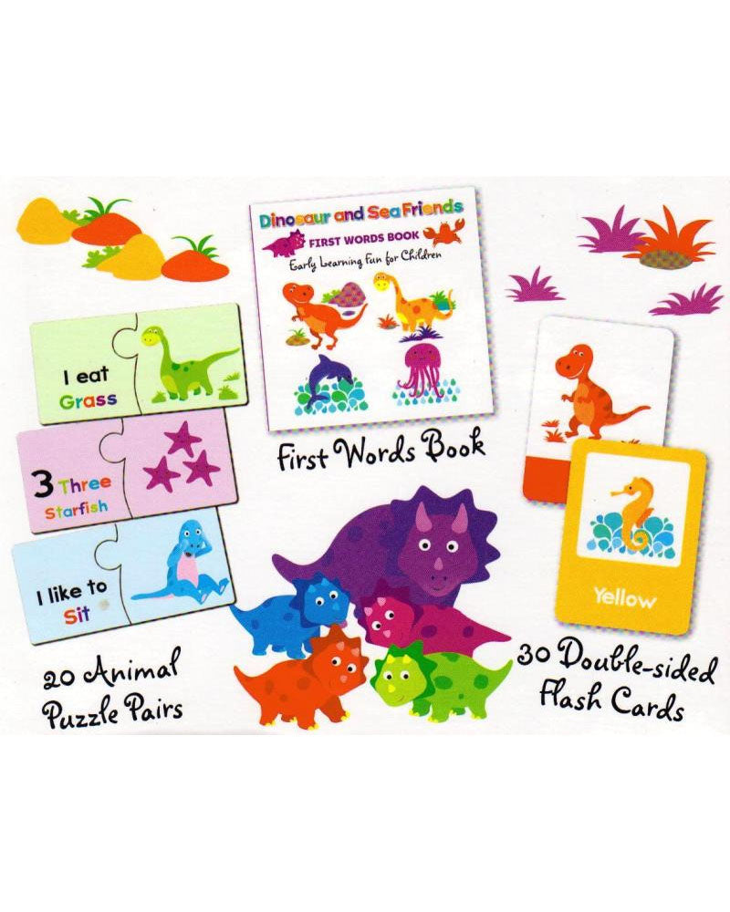 Set de aprendizaje de tarjetas flash de dinosaurios y amigos
